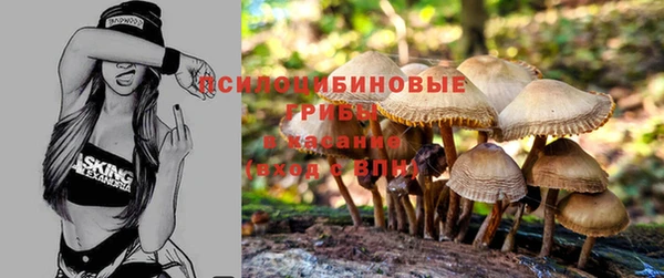 СК Тихорецк
