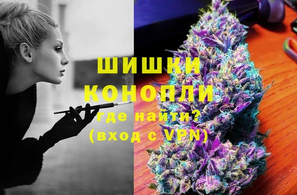 стафф Верхний Тагил